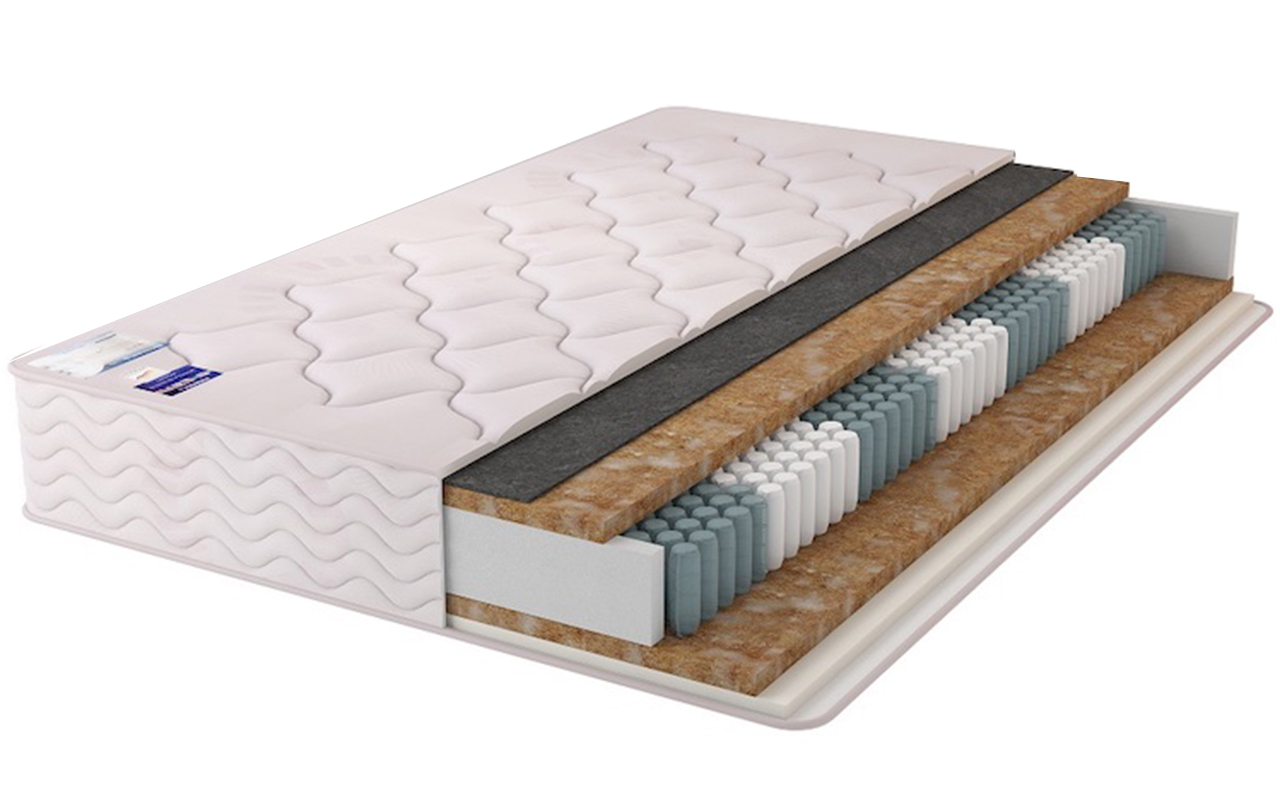 Евита Twin Wawe